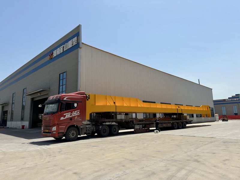 龍佰集團選用我公司QD25/5t，跨度28.5m通用橋式起重機